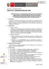 Vista preliminar de documento ANEXO RJ056-2025_DIRECTIVA-000009-2025-SEC GRAL