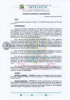 Vista preliminar de documento Acuerdo de Concejo N.° 038-2025-MDJ-CM