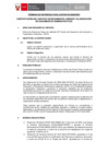Vista preliminar de documento TDR REQ. 2510