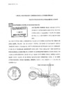 Vista preliminar de documento Prescripción adquisitiva de dominio vehicular placa N.° V8E-957