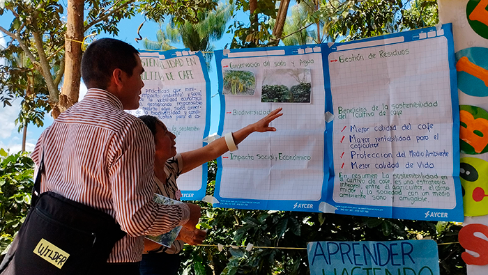 AMAZONAS ESCUELA