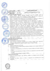 Vista preliminar de documento MCC 4 