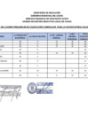 Vista preliminar de documento CUADRO PRELIMINAR CAS 04xlsx