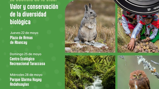 🟢 🌿🌎¡Abancay Vive El Día Internacional De La Diversidad Biológica!🌎🌿