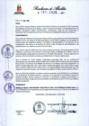 Vista preliminar de documento 387-2025