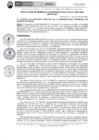 Vista preliminar de documento RGSP699-2024
