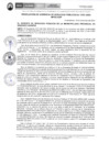 Vista preliminar de documento RGSP701-2024