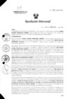 Vista preliminar de documento R.D. 936-2024
