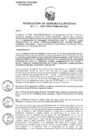 Vista preliminar de documento RESOLUCIÓN DE GERENCIA EJECUTIVA Nº 376-2021-GRA/PEMS-GE