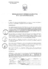 Vista preliminar de documento RESOLUCIÓN DE GERENCIA EJECUTIVA Nº 273-2021-GRA/PEMS-GE