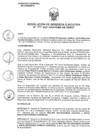 Vista preliminar de documento RESOLUCIÓN DE GERENCIA EJECUTIVA Nº 215-2021-GRA/PEMS-GE