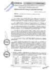 Vista preliminar de documento RES.RECT. N° 0428-2025-UNHEVAL