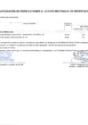 Vista preliminar de documento Modificaciones al Cuadro Multianual de Necesidades Nº 00000058-2025-MDSA