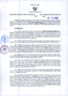 Vista preliminar de documento 1652696659087247266