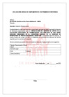 Vista preliminar de documento TDR-CUMPLIMINETO DE TERMINOS