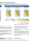 Vista preliminar de documento boletinITH230525