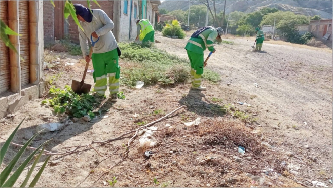 Foto Continúan los Trabajos de limpieza de la maleza en nuestro Distrito