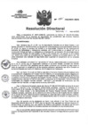 Vista preliminar de documento RD N°085-2025