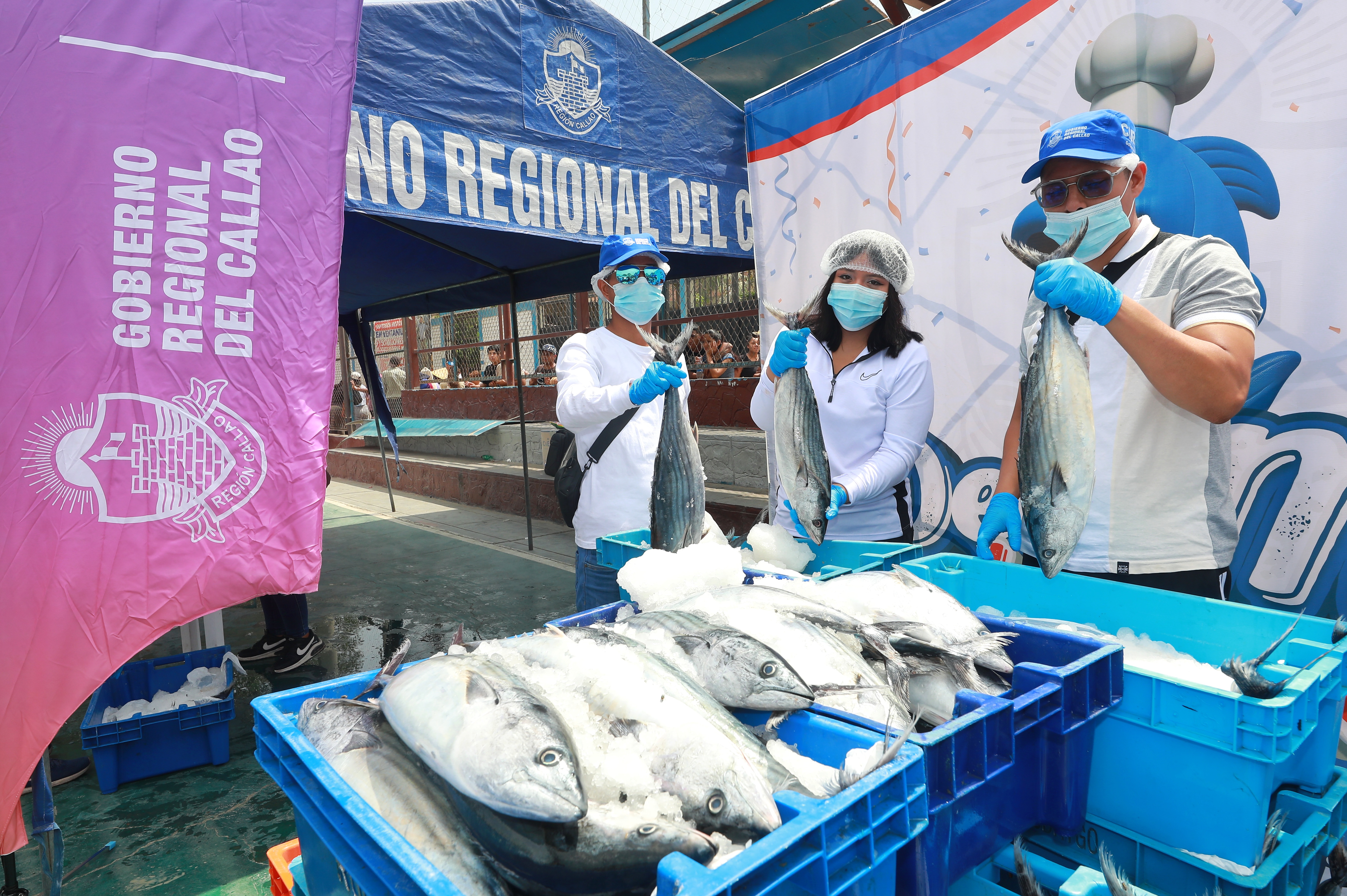Gore Callao entregará gratuitamente más de 6 toneladas de pescado a unas mil familias de Pachacútec