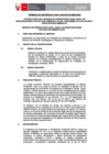 Vista preliminar de documento TDR - 2573