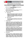 Vista preliminar de documento TDR - 2576
