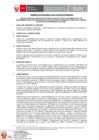 Vista preliminar de documento TDR 2509