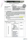 Vista preliminar de documento TDR N 1743