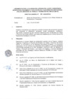 Vista preliminar de documento Directiva