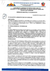 Vista preliminar de documento ORDENANZA MUNICIPAL  010-2025-MDH