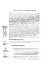 Vista preliminar de documento ADENDA N 1 AL CONVENIO DE INVERSION PUBLICA REGIONAL