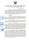 Vista preliminar de documento RDR-341-2025