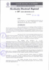 Vista preliminar de documento RDR 187-2025
