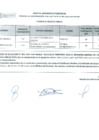 Vista preliminar de documento Resultado final