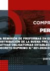 Vista preliminar de documento Instructivo para la remisión de proformas en el procedimiento de Gran Compra con distribución de la Buena Pro