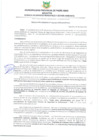 Vista preliminar de documento RESOLUCIÓN GERENCIAL Nº 094-2025-GSMyGA-MPPA-A