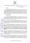 Vista preliminar de documento Resolucion 185