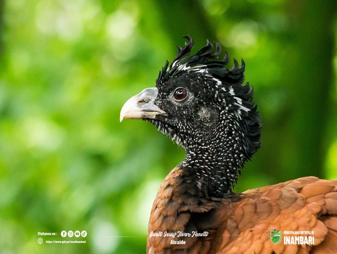 biodiversidad