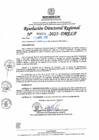 Vista preliminar de documento RDR N° 000976-2025-DRELP