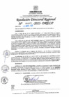 Vista preliminar de documento RDR N° 000977-2025-DRELP
