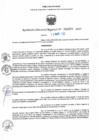 Vista preliminar de documento RDR N° 000978-2025-DRELP