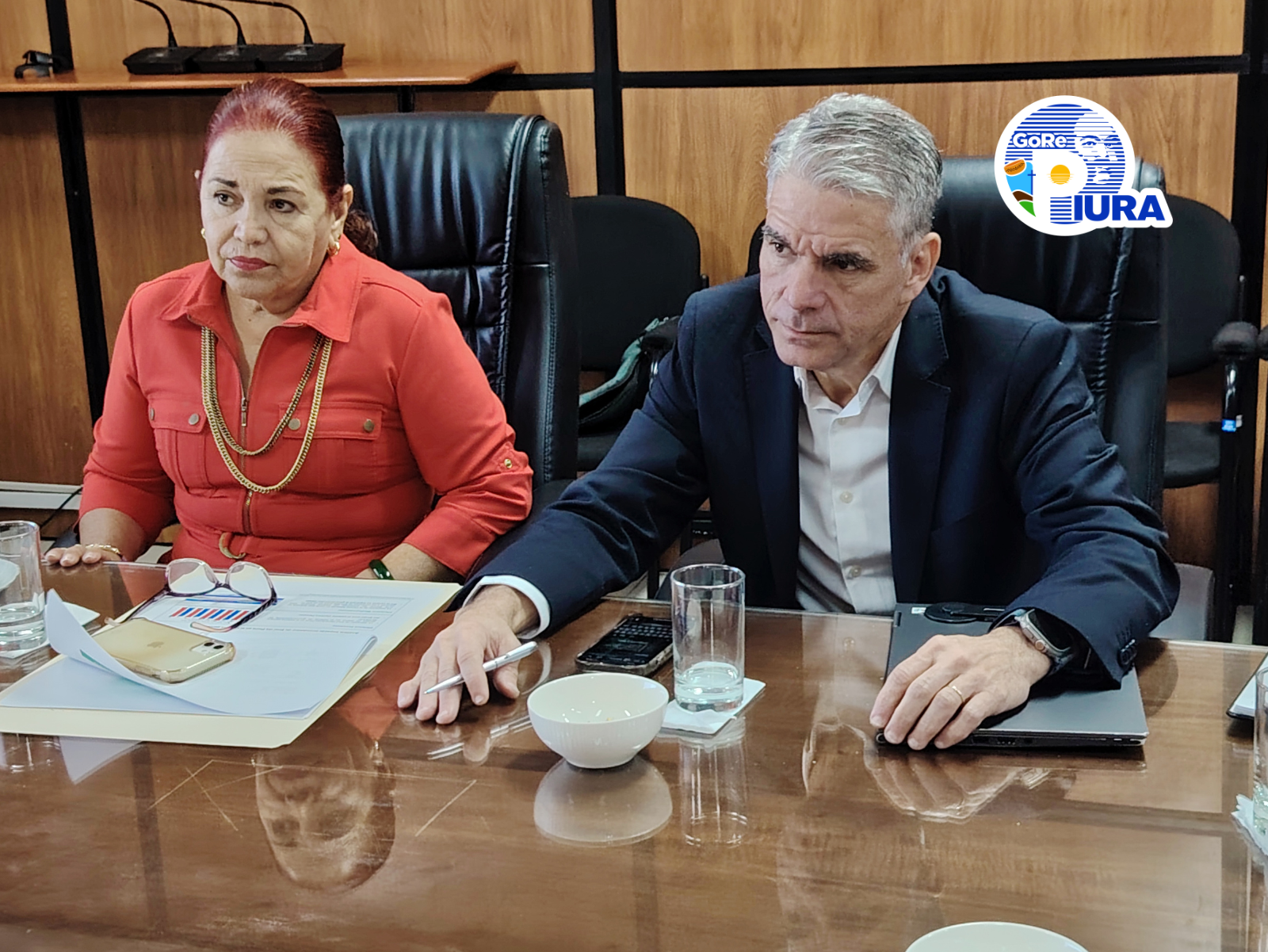 Consejera Regional y Directivo de Enel