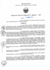 Vista preliminar de documento RDR N° 000981-2025-DRELP