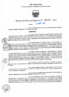 Vista preliminar de documento RDR N° 000982-2025-DRELP