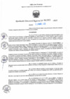 Vista preliminar de documento RDR N° 000983-2025-DRELP
