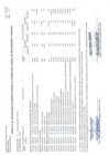 Vista preliminar de documento APROBACIÓN DE MODIFICACIONES AL CUADRO MULTIANUAL DE NECESIDADES N°000000049 (ANEXO N°06).