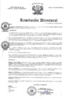 Vista preliminar de documento R.D N° 119-2025-HMA-DG
