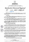 Vista preliminar de documento RDR N° 000985-2025-DRELP