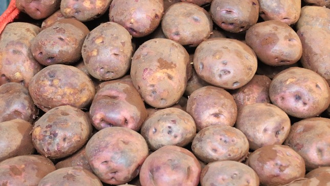 MIDAGRI