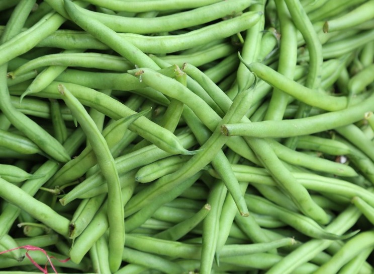 MIDAGRI