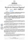 Vista preliminar de documento RDR N° 000986-2025-DRELP